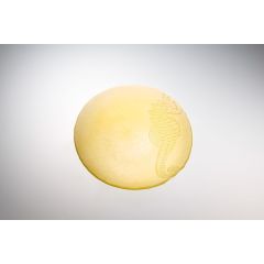 Тарелка 22 см, цвет пастельно-желтый, Sea Horse, Casa di fortuna