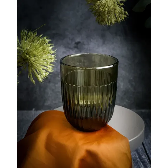 Набор из 6-ти стаканов O/F 290 мл, h 9,5 см, d 8 см, серия OUESSANT OLIVE, La Rochere, изображение 4