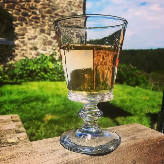 Набор из 4-х бокалов для вина 350 мл, h 16 см, d 9,5 см, серия ABEILLE, La Rochere, Кол-во в наборе: 4, изображение 18